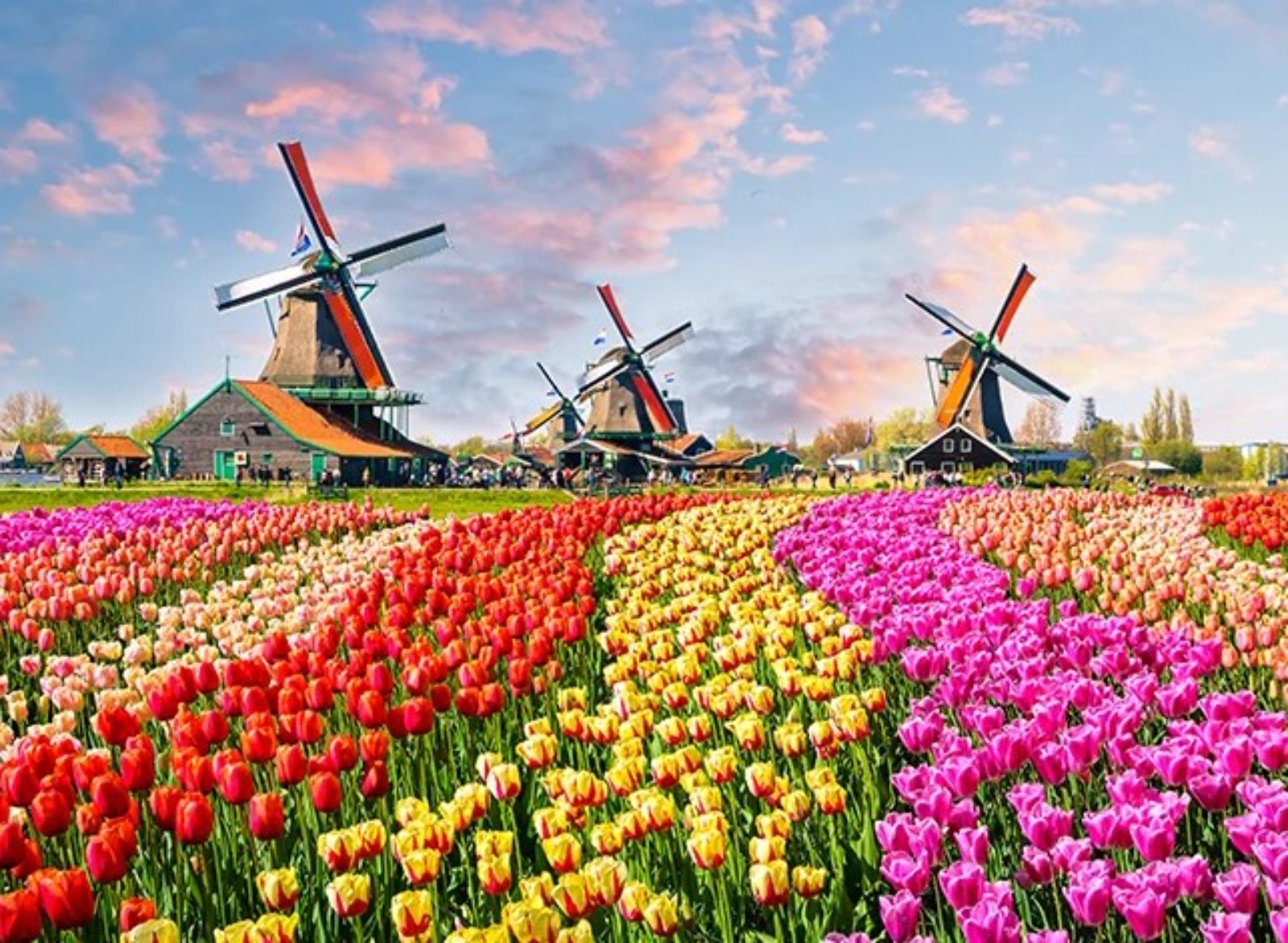 Hollandia Tulip nok orsz ga Hollandia Benelux k rutaz s 7